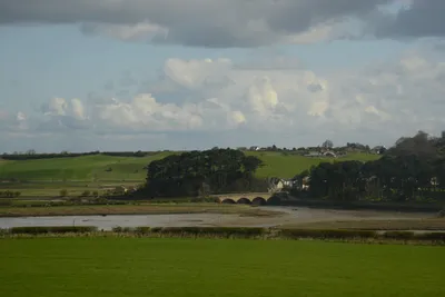 DSC_7206 (Large).JPG